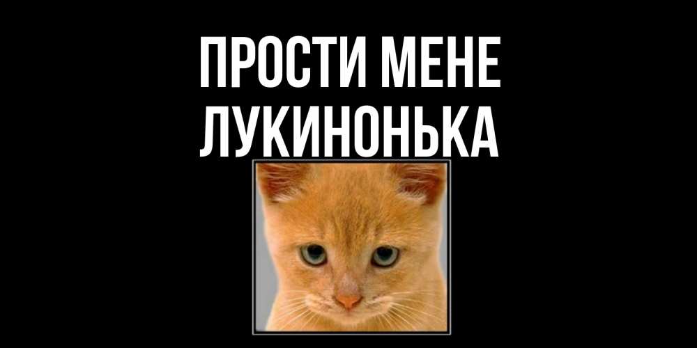 Открытка на каждый день з підписом, Лукинонька Прости мене рыжий грустный кот просит прощения Прикольна листівка з побажанням онлайн скачати безкоштовно 