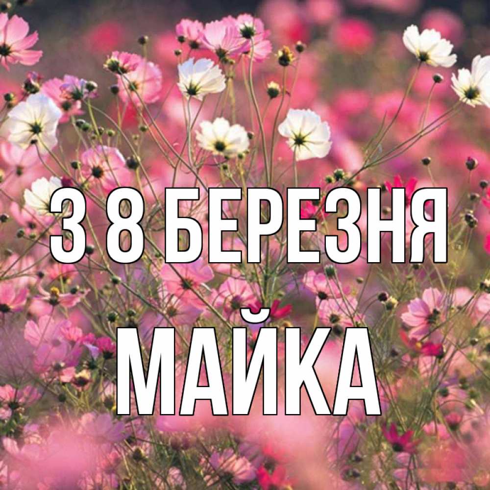 Открытка на каждый день з підписом, Майка З 8 БЕРЕЗНЯ красиво 1 Прикольна листівка з побажанням онлайн скачати безкоштовно 