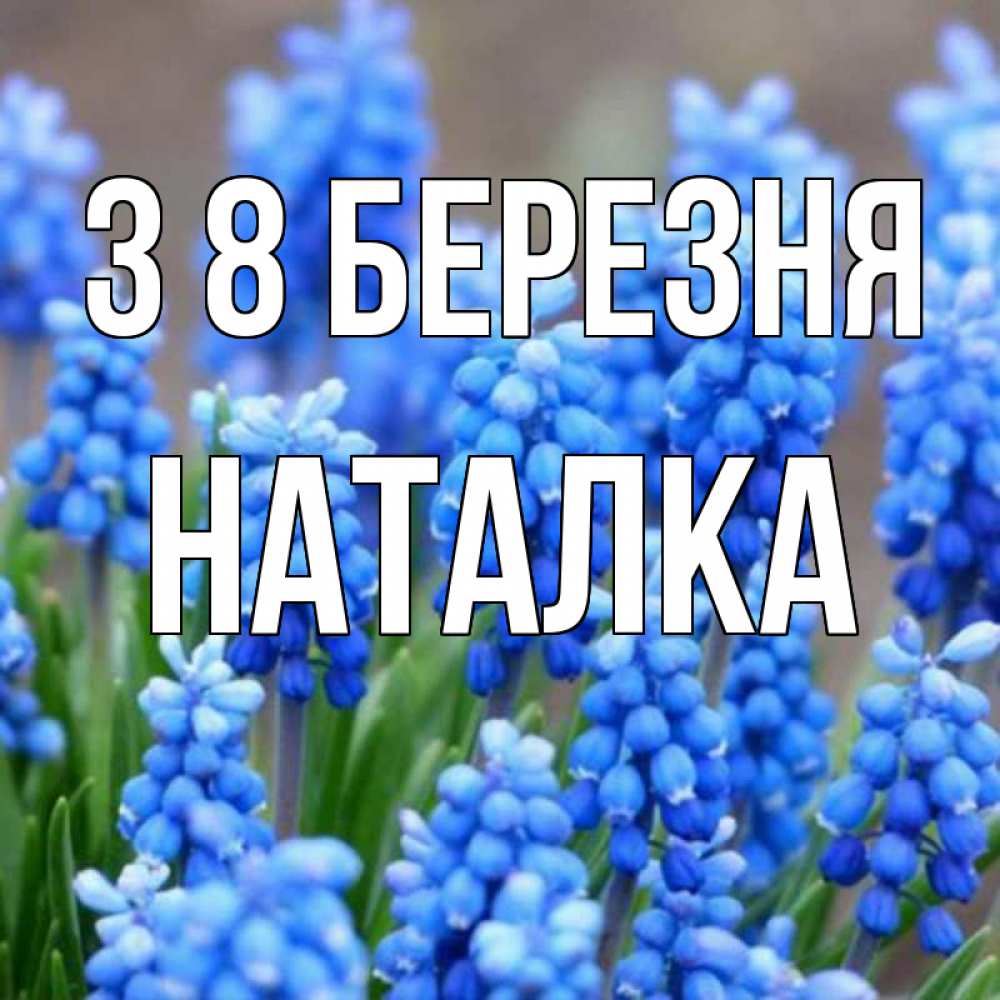Открытка на каждый день з підписом, Наталка З 8 БЕРЕЗНЯ Поздравительная открытка для женщин с цветами на праздничную дату Прикольна листівка з побажанням онлайн скачати безкоштовно 