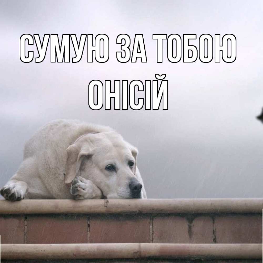 Открытка на каждый день з підписом, Онісій Сумую за тобою ждет Прикольна листівка з побажанням онлайн скачати безкоштовно 