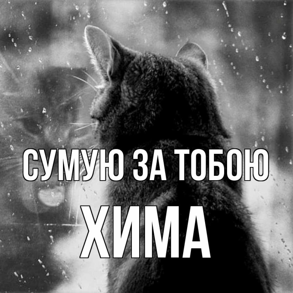 Открытка на каждый день з підписом, Хима Сумую за тобою скорее ко мне приходи 1 Прикольна листівка з побажанням онлайн скачати безкоштовно 