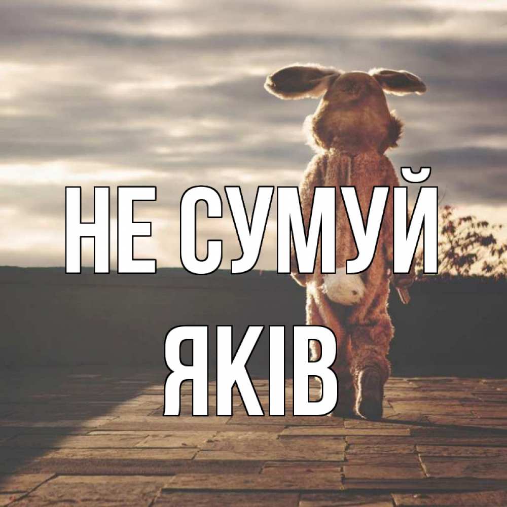 Открытка на каждый день з підписом, Яків Не сумуй со спины Прикольна листівка з побажанням онлайн скачати безкоштовно 