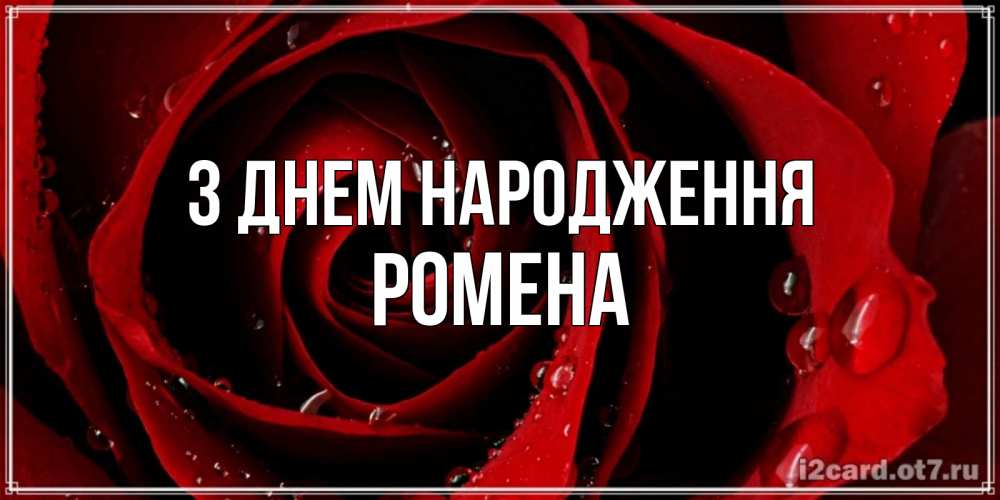 Открытка на каждый день з підписом, Ромена З Днем народження крупная бордовая роза Прикольна листівка з побажанням онлайн скачати безкоштовно 