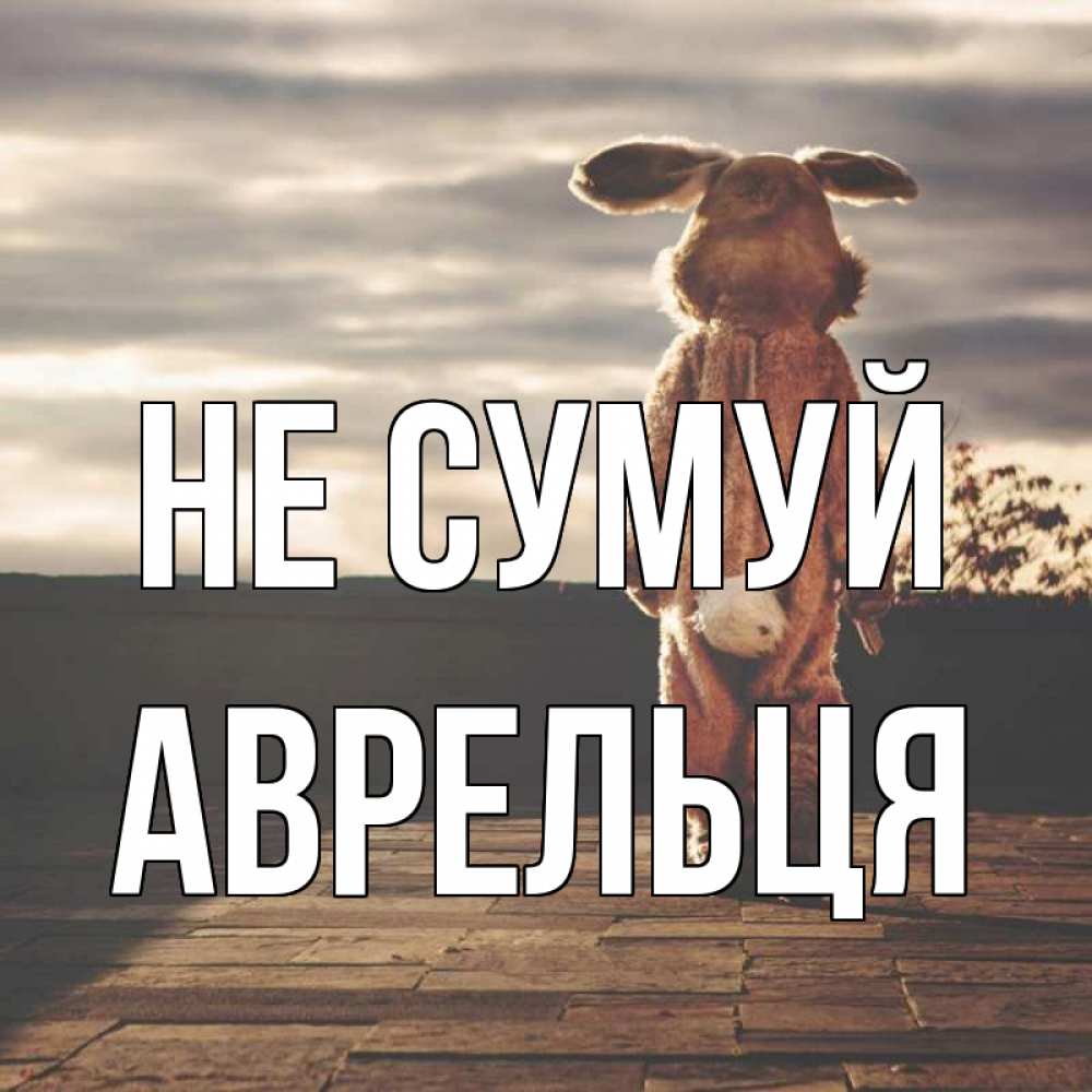 Открытка на каждый день з підписом, Аврельця Не сумуй со спины Прикольна листівка з побажанням онлайн скачати безкоштовно 