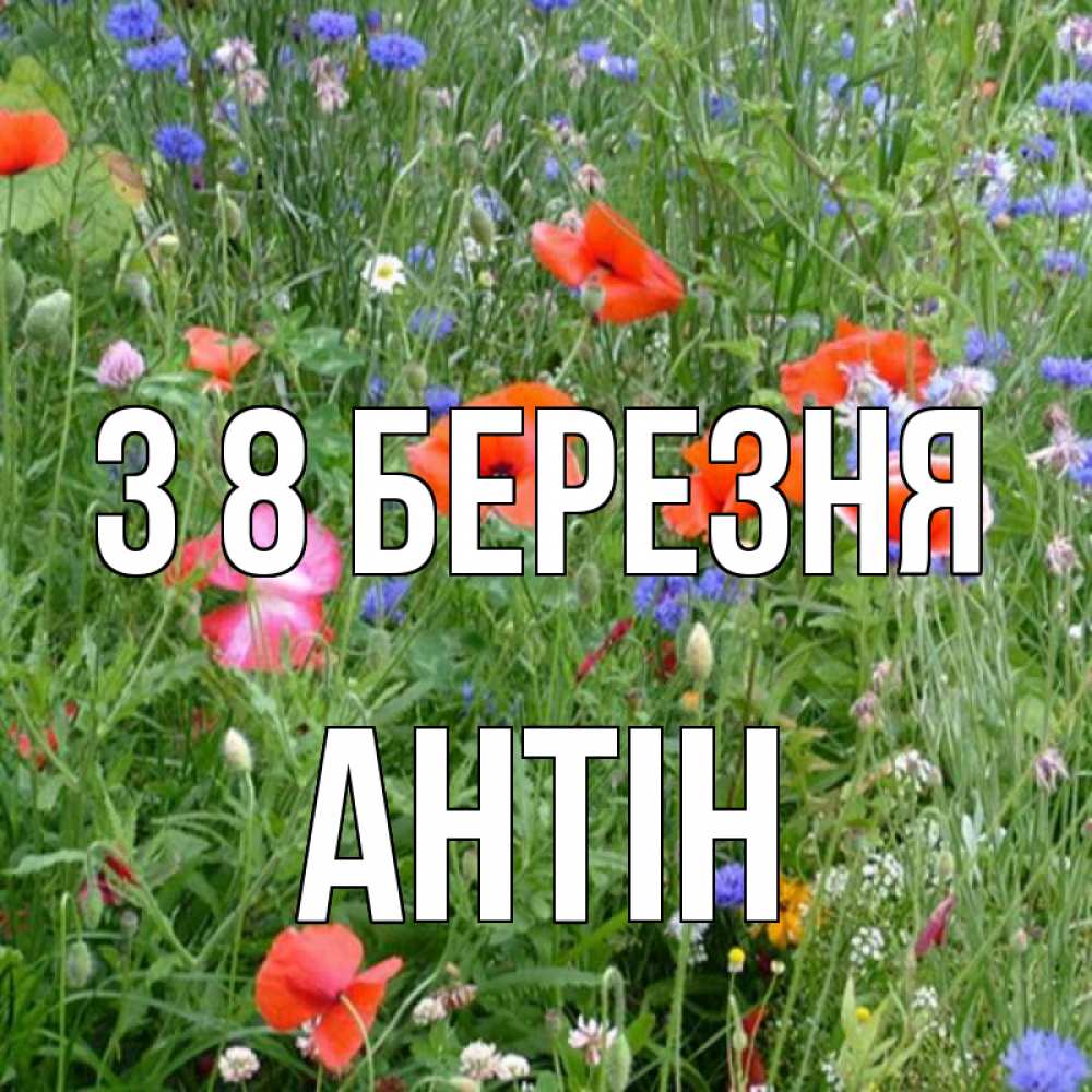 Открытка на каждый день з підписом, Антін З 8 БЕРЕЗНЯ международный женский день 4 Прикольна листівка з побажанням онлайн скачати безкоштовно 