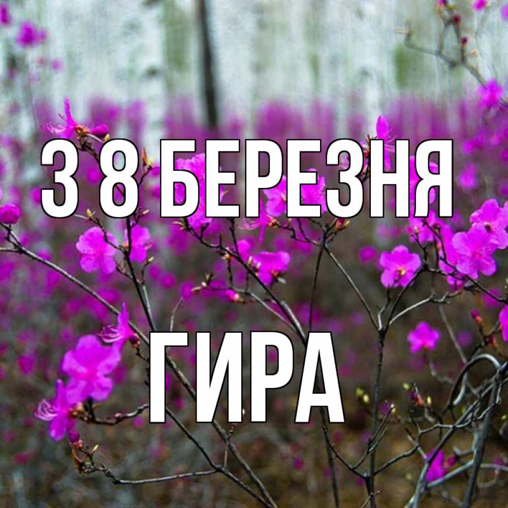 Открытка на каждый день з підписом, Гира З 8 БЕРЕЗНЯ дикие цветы Прикольна листівка з побажанням онлайн скачати безкоштовно 