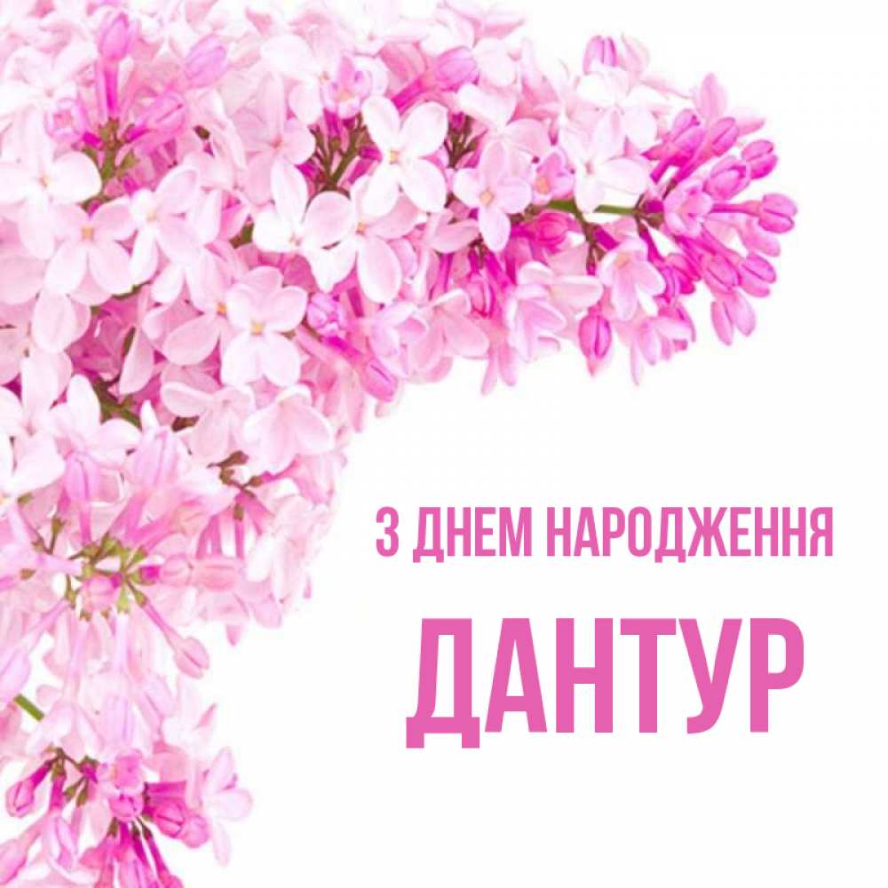 Открытка на каждый день з підписом, Дантур З Днем народження Сирень на белом фоне Прикольна листівка з побажанням онлайн скачати безкоштовно 