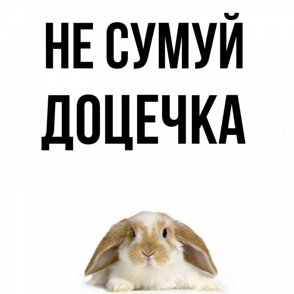 Открытка на каждый день з підписом, Доцечка Не сумуй коричнево белый заяц с большими ушками Прикольна листівка з побажанням онлайн скачати безкоштовно 
