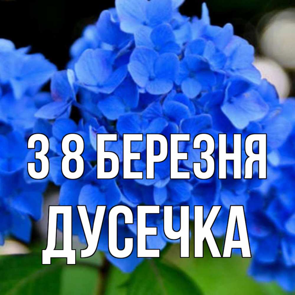 Открытка на каждый день з підписом, Дусечка З 8 БЕРЕЗНЯ синие цветы Прикольна листівка з побажанням онлайн скачати безкоштовно 