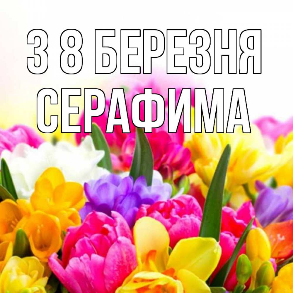 Открытка на каждый день з підписом, Серафима З 8 БЕРЕЗНЯ тюльпаны Прикольна листівка з побажанням онлайн скачати безкоштовно 