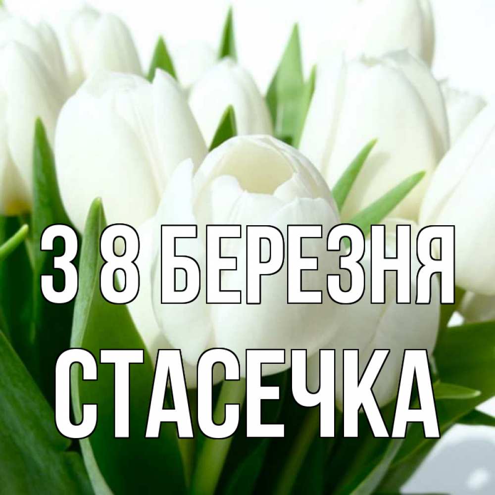Открытка на каждый день з підписом, Стасечка З 8 БЕРЕЗНЯ цветы Прикольна листівка з побажанням онлайн скачати безкоштовно 