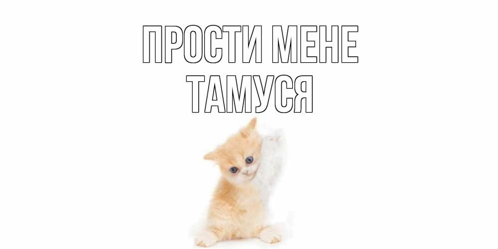 Открытка на каждый день з підписом, Тамуся Прости мене кот Прикольна листівка з побажанням онлайн скачати безкоштовно 