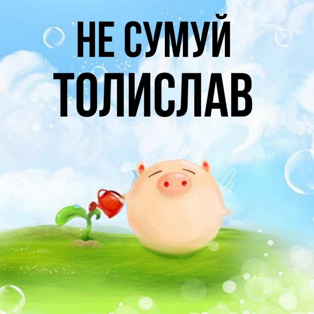 Открытка на каждый день з підписом, Толислав Не сумуй поливает цветок порося Прикольна листівка з побажанням онлайн скачати безкоштовно 