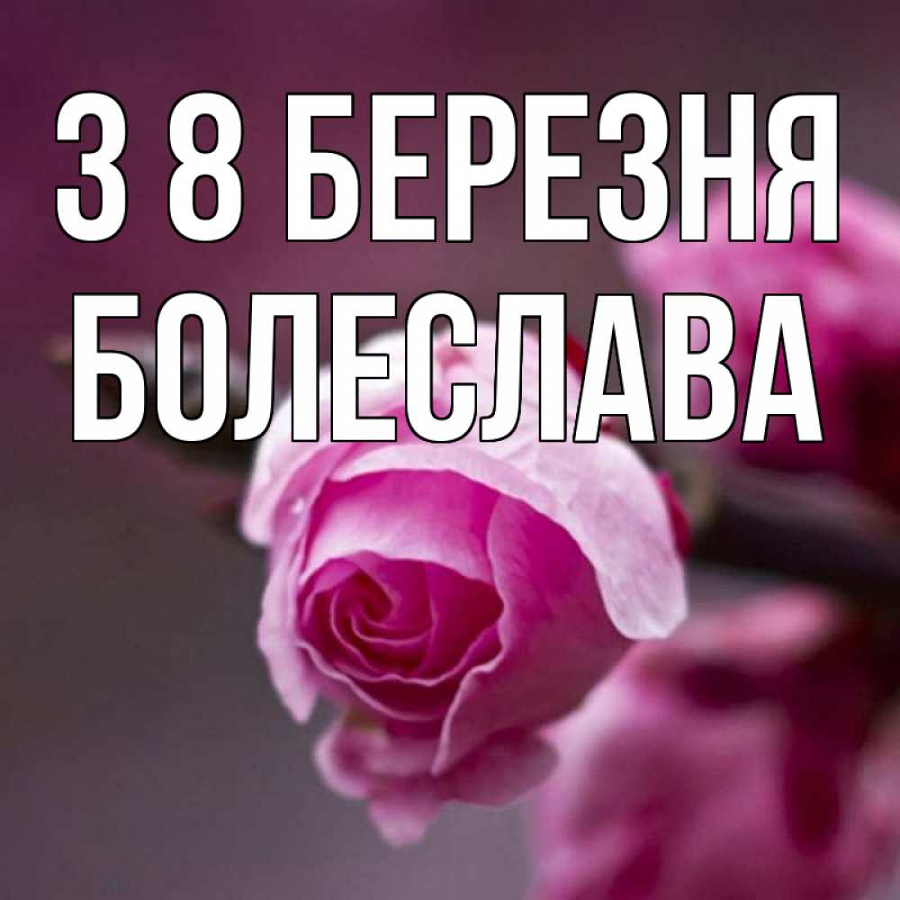 Открытка на каждый день з підписом, Болеслава З 8 БЕРЕЗНЯ весна Прикольна листівка з побажанням онлайн скачати безкоштовно 