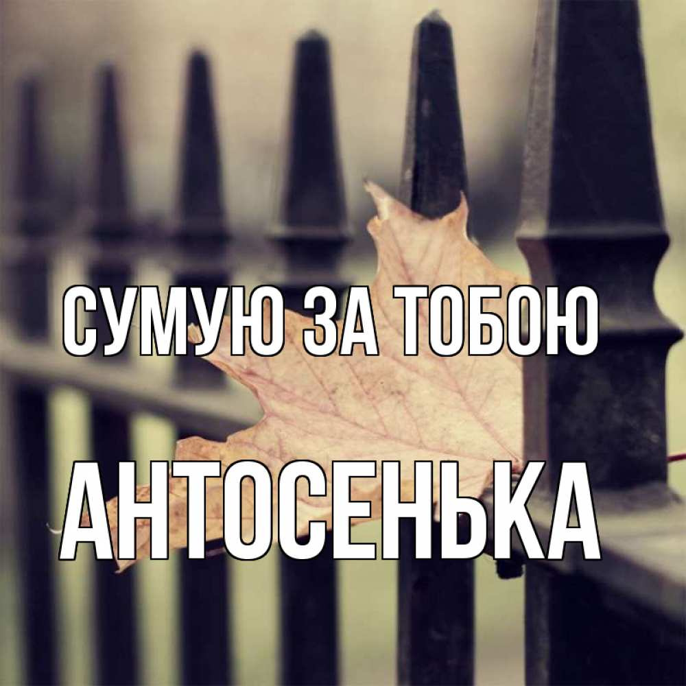 Открытка на каждый день з підписом, Антосенька Сумую за тобою очень скучно Прикольна листівка з побажанням онлайн скачати безкоштовно 