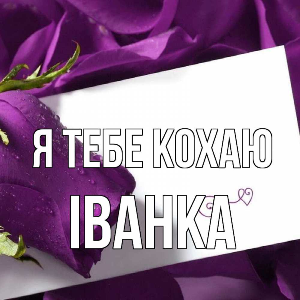 Открытка на каждый день з підписом, Іванка Я тебе кохаю роза Прикольна листівка з побажанням онлайн скачати безкоштовно 