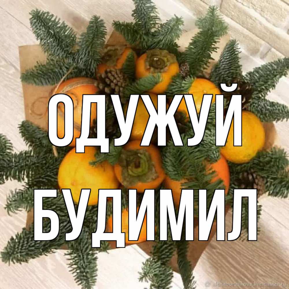Открытка на каждый день з підписом, Будимил Одужуй апельсины и хурьма Прикольна листівка з побажанням онлайн скачати безкоштовно 