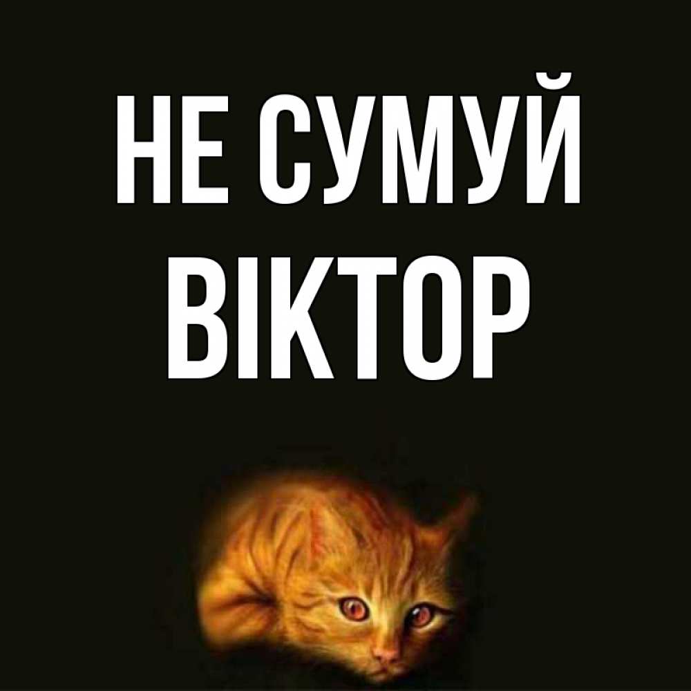 Открытка на каждый день з підписом, Віктор Не сумуй лежащий кот в темноте Прикольна листівка з побажанням онлайн скачати безкоштовно 