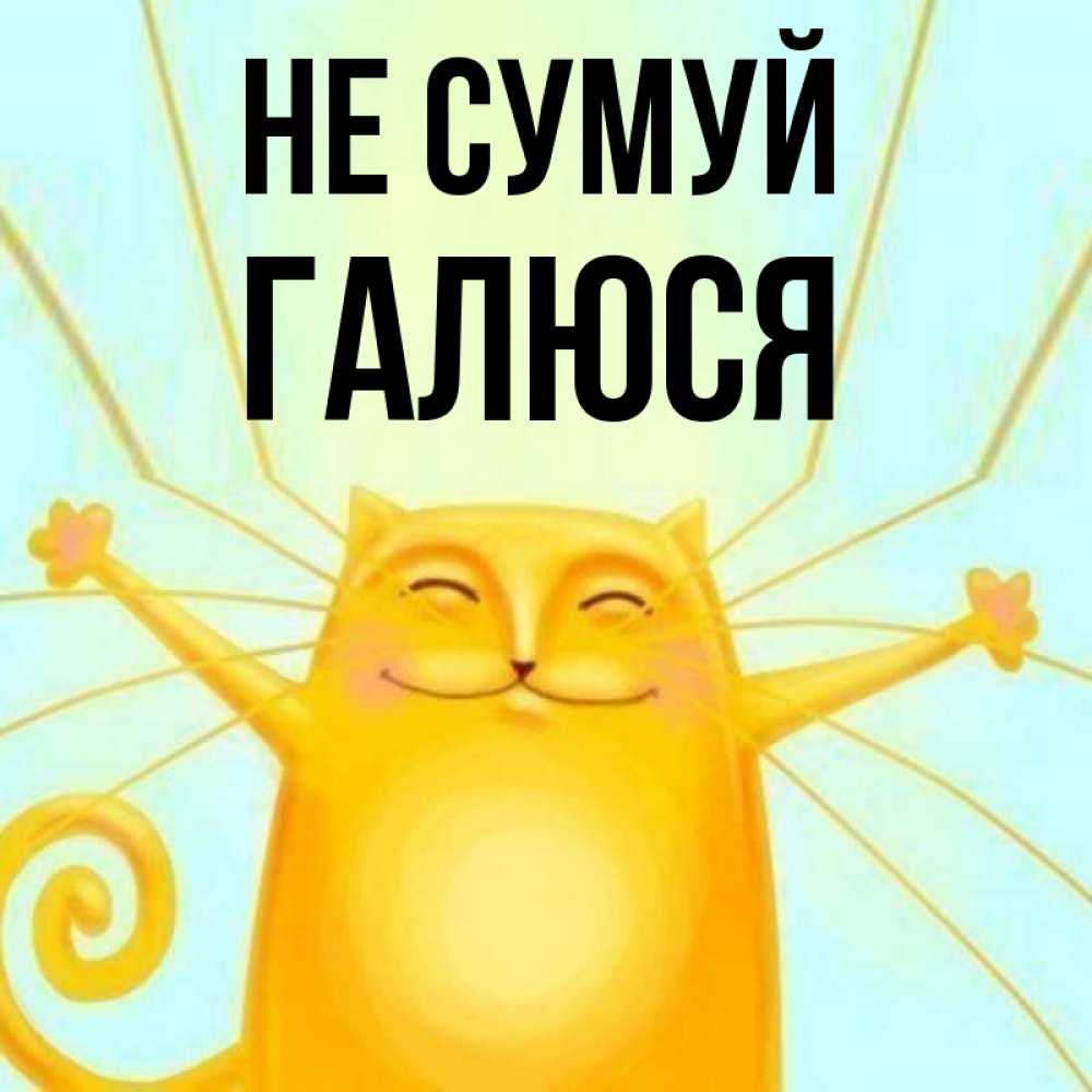 Открытка на каждый день з підписом, Галюся Не сумуй обнимашки усатые Прикольна листівка з побажанням онлайн скачати безкоштовно 