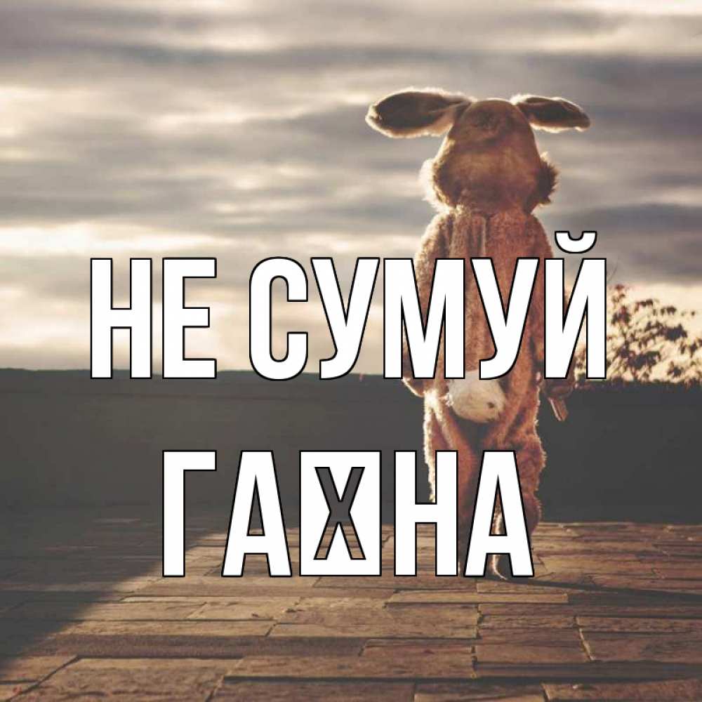 Открытка на каждый день з підписом, Гаїна Не сумуй со спины Прикольна листівка з побажанням онлайн скачати безкоштовно 