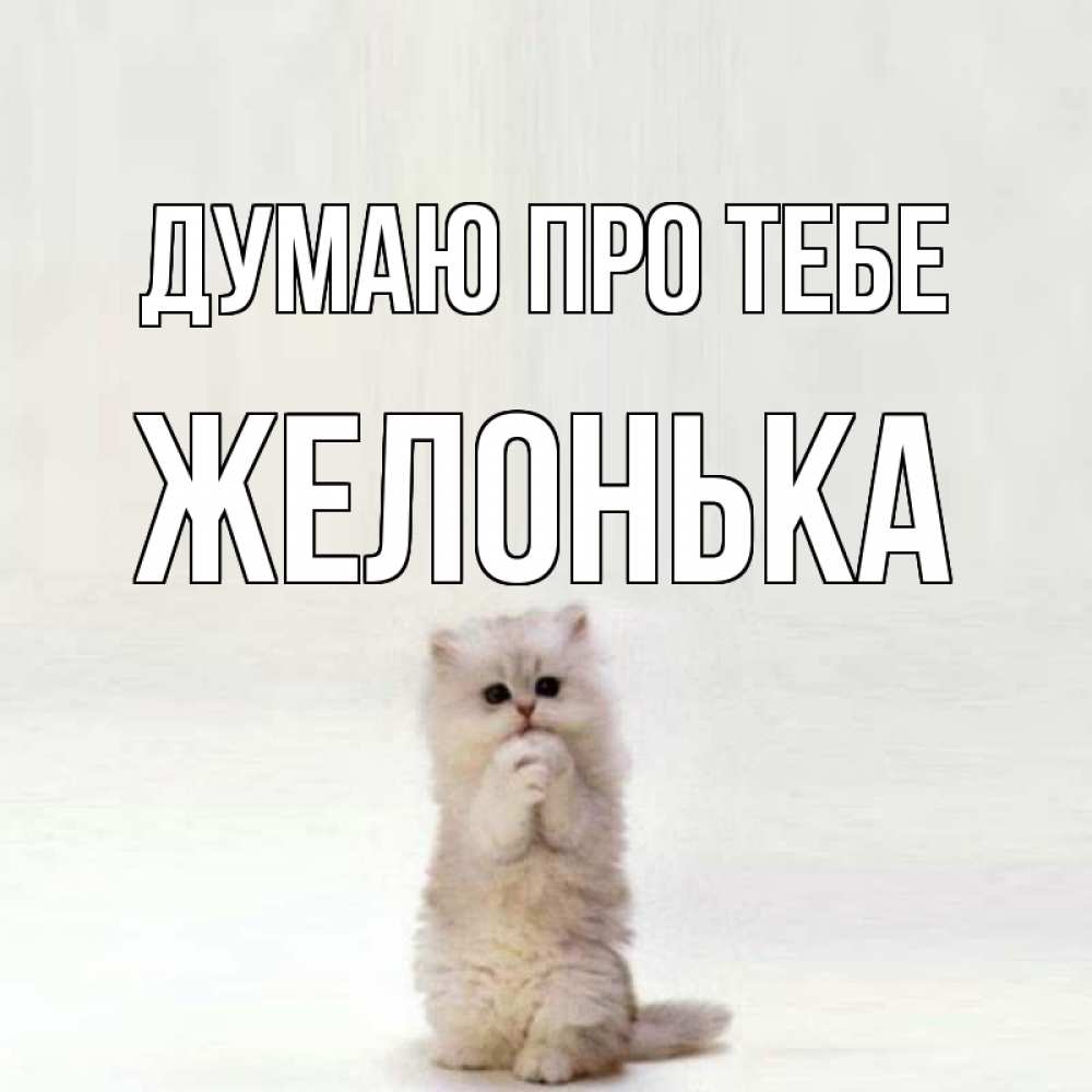 Открытка на каждый день з підписом, Желонька Думаю про тебе кот стоит на задних лапах Прикольна листівка з побажанням онлайн скачати безкоштовно 