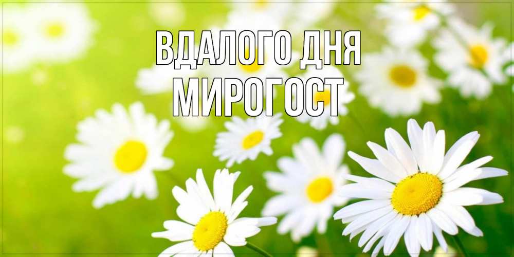 Открытка на каждый день з підписом, Мирогост Вдалого дня открытка с ромашками на зеленом фоне Прикольна листівка з побажанням онлайн скачати безкоштовно 