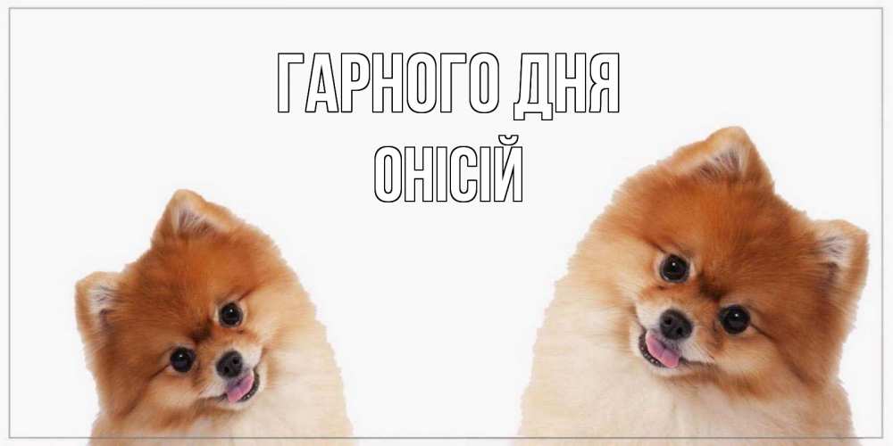 Открытка на каждый день з підписом, Онісій Гарного дня собачки желают прекрасного дня Прикольна листівка з побажанням онлайн скачати безкоштовно 