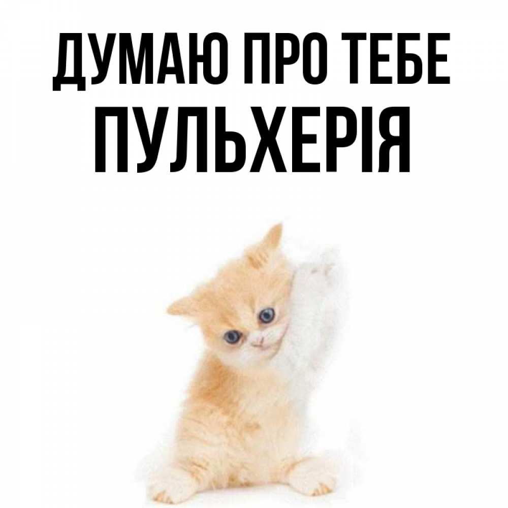 Открытка на каждый день з підписом, Пульхерія Думаю про тебе зверушки и милота Прикольна листівка з побажанням онлайн скачати безкоштовно 
