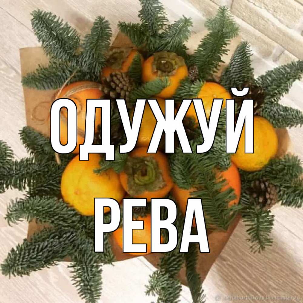 Открытка на каждый день з підписом, Рева Одужуй апельсины и хурьма Прикольна листівка з побажанням онлайн скачати безкоштовно 