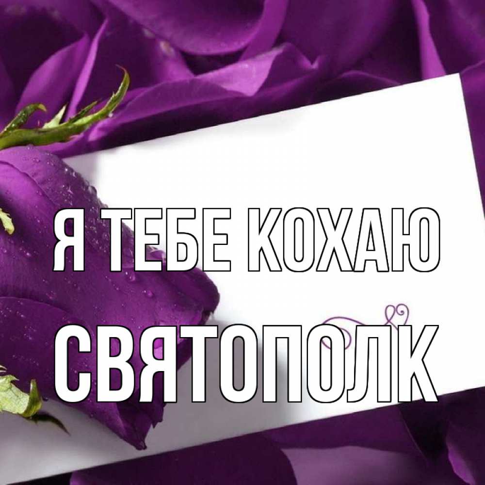 Открытка на каждый день з підписом, Святополк Я тебе кохаю роза Прикольна листівка з побажанням онлайн скачати безкоштовно 
