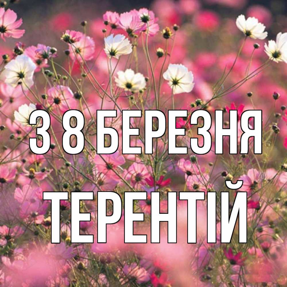 Открытка на каждый день з підписом, Терентій З 8 БЕРЕЗНЯ красиво 1 Прикольна листівка з побажанням онлайн скачати безкоштовно 