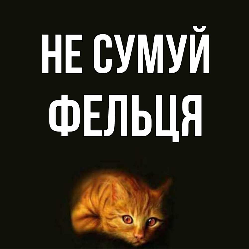 Открытка на каждый день з підписом, Фельця Не сумуй лежащий кот в темноте Прикольна листівка з побажанням онлайн скачати безкоштовно 