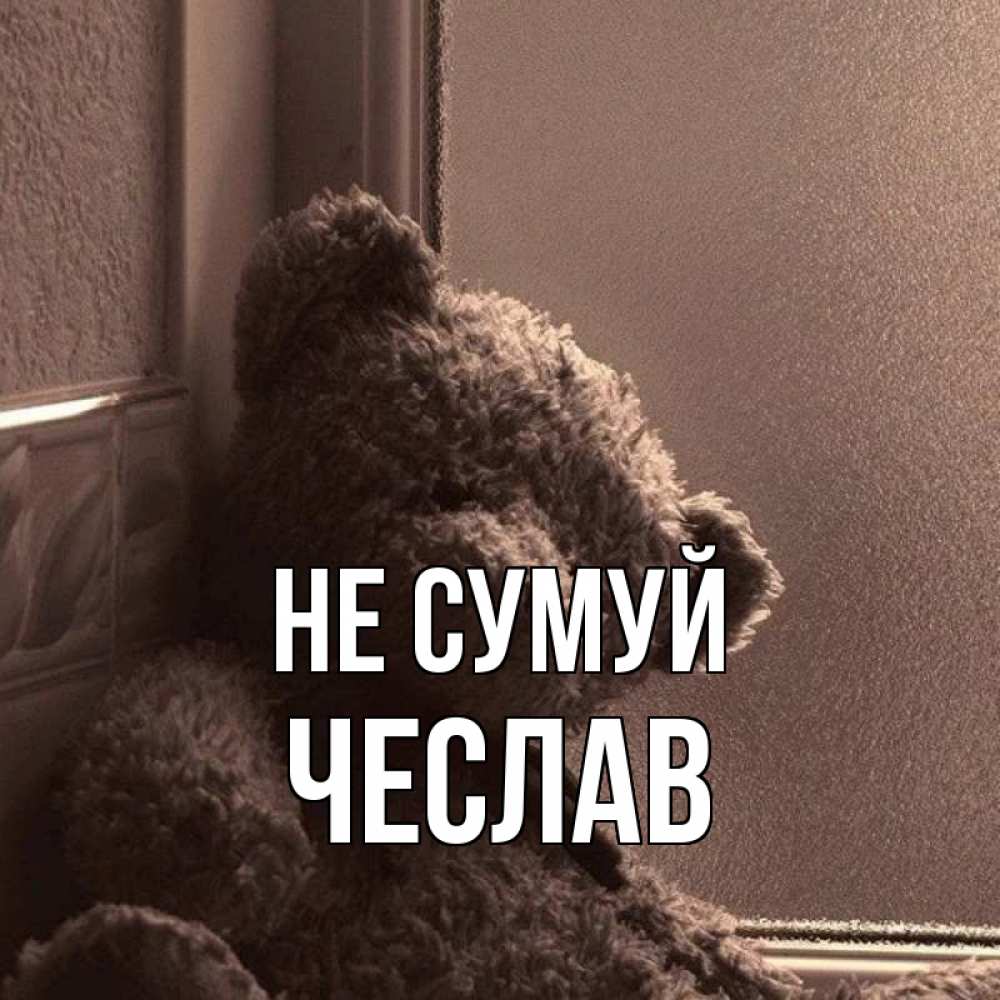 Открытка на каждый день з підписом, Чеслав Не сумуй стекол рефленое Прикольна листівка з побажанням онлайн скачати безкоштовно 