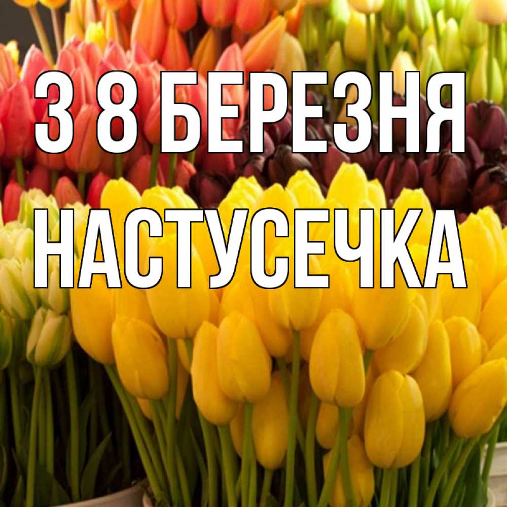 Открытка на каждый день з підписом, Настусечка З 8 БЕРЕЗНЯ цветы Прикольна листівка з побажанням онлайн скачати безкоштовно 