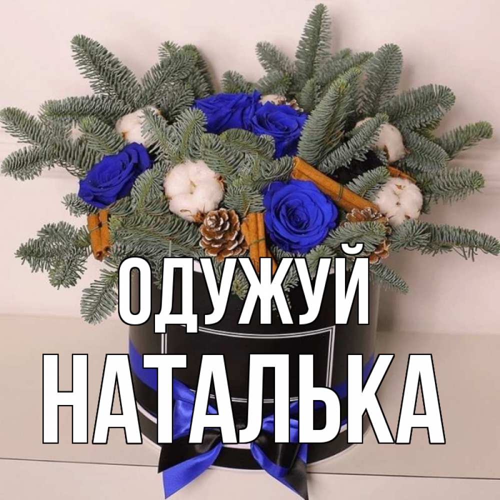 Открытка на каждый день з підписом, Наталька Одужуй короче кто то загрузил эти шишки Прикольна листівка з побажанням онлайн скачати безкоштовно 