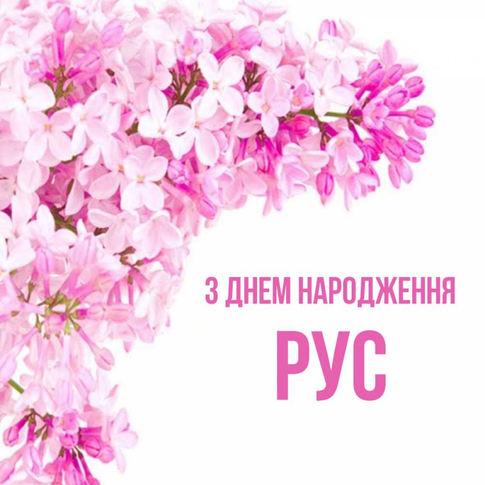 Открытка на каждый день з підписом, Рус З Днем народження Сирень на белом фоне Прикольна листівка з побажанням онлайн скачати безкоштовно 