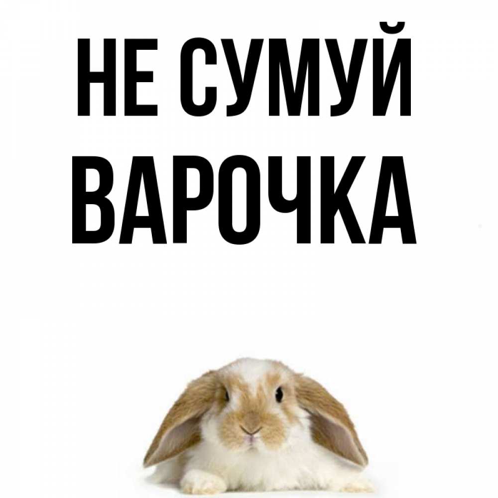 Открытка на каждый день з підписом, Варочка Не сумуй коричнево белый заяц с большими ушками Прикольна листівка з побажанням онлайн скачати безкоштовно 