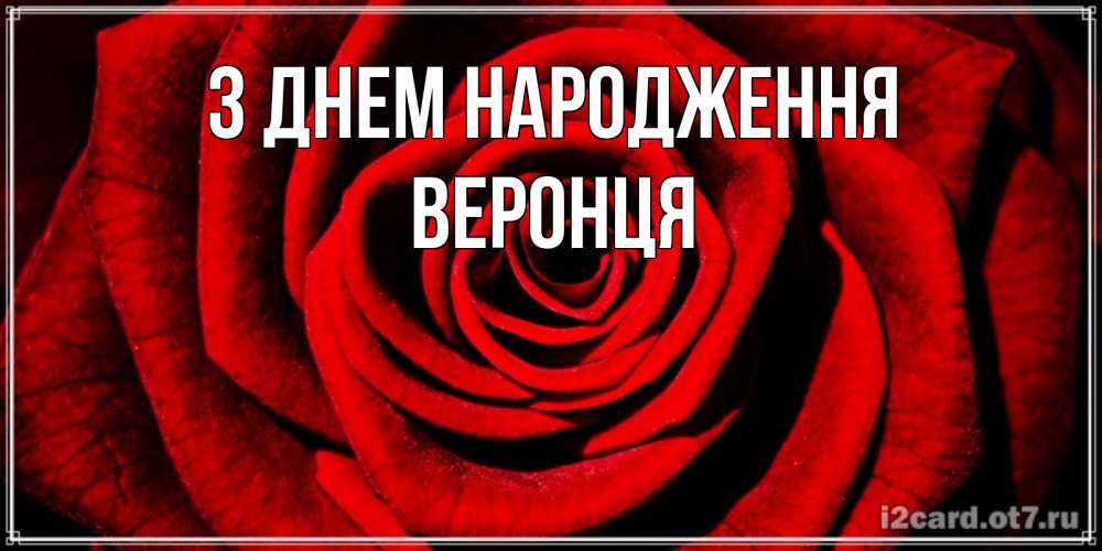 Открытка на каждый день з підписом, Веронця З Днем народження алая роза Прикольна листівка з побажанням онлайн скачати безкоштовно 