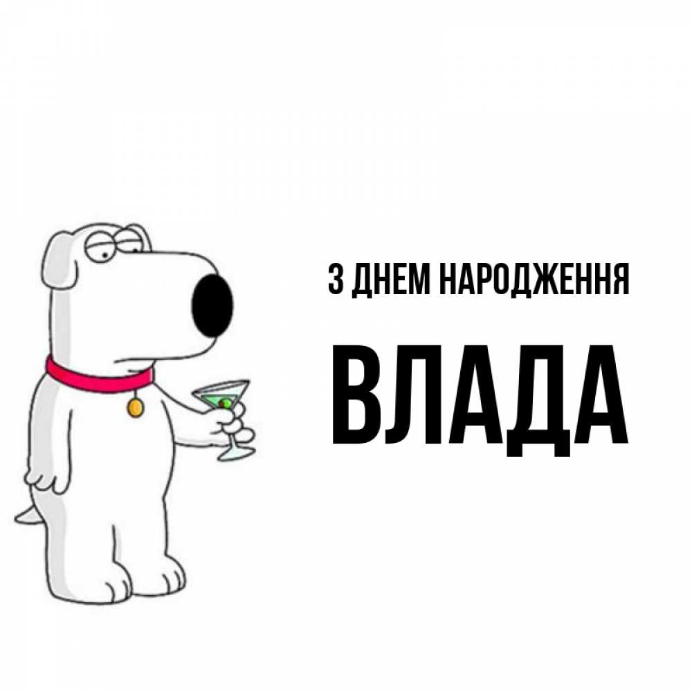 Открытка на каждый день з підписом, Влада З Днем народження песик с оливками Прикольна листівка з побажанням онлайн скачати безкоштовно 
