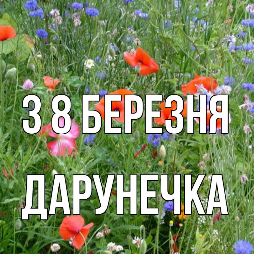 Открытка на каждый день з підписом, Дарунечка З 8 БЕРЕЗНЯ международный женский день 4 Прикольна листівка з побажанням онлайн скачати безкоштовно 