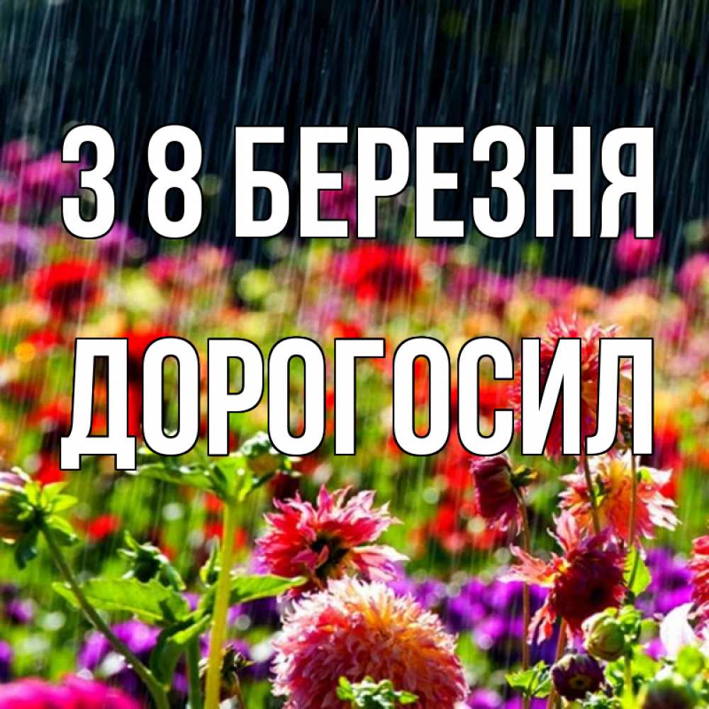 Открытка на каждый день з підписом, Дорогосил З 8 БЕРЕЗНЯ цветы под дождиком к международному женскому дню Прикольна листівка з побажанням онлайн скачати безкоштовно 
