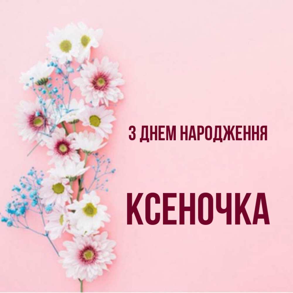 Открытка на каждый день з підписом, Ксеночка З Днем народження Родная моя с днем рождения тебя картинка с цветами белыми и голубыми Прикольна листівка з побажанням онлайн скачати безкоштовно 