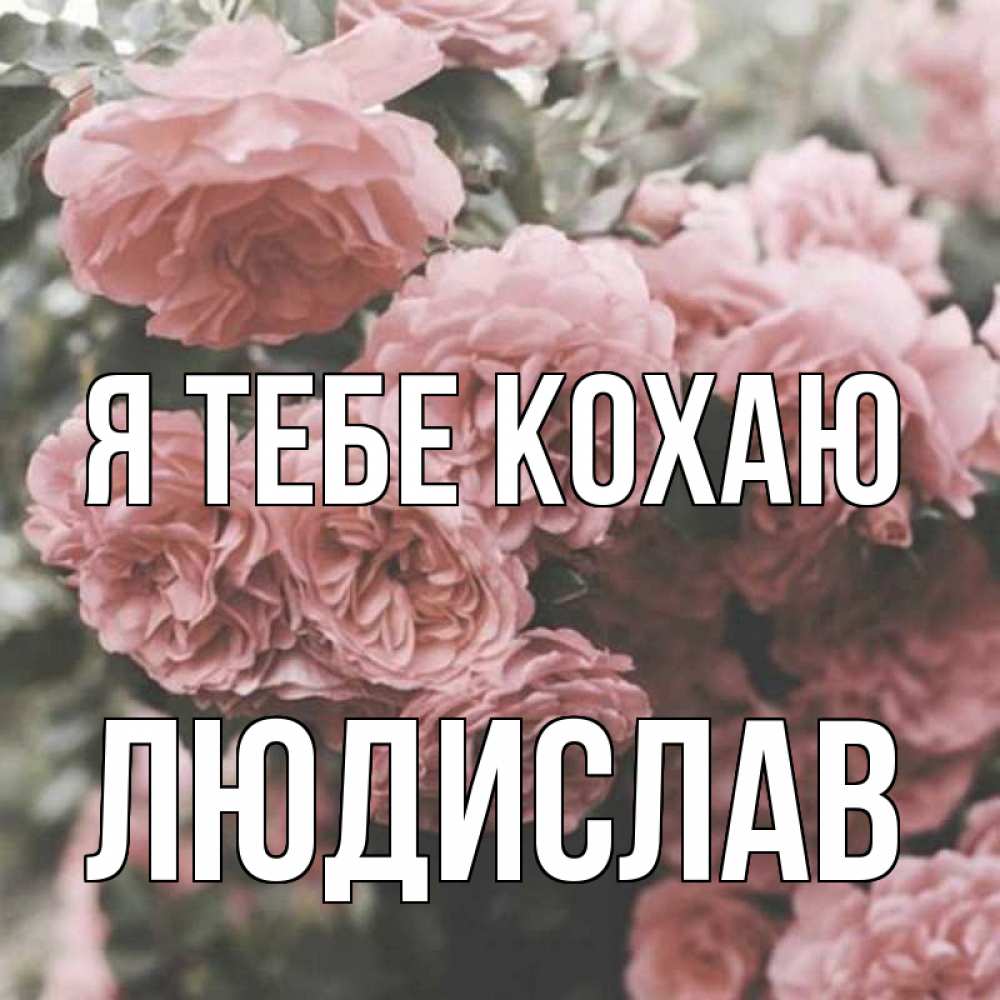 Открытка на каждый день з підписом, Людислав Я тебе кохаю розы 3 Прикольна листівка з побажанням онлайн скачати безкоштовно 
