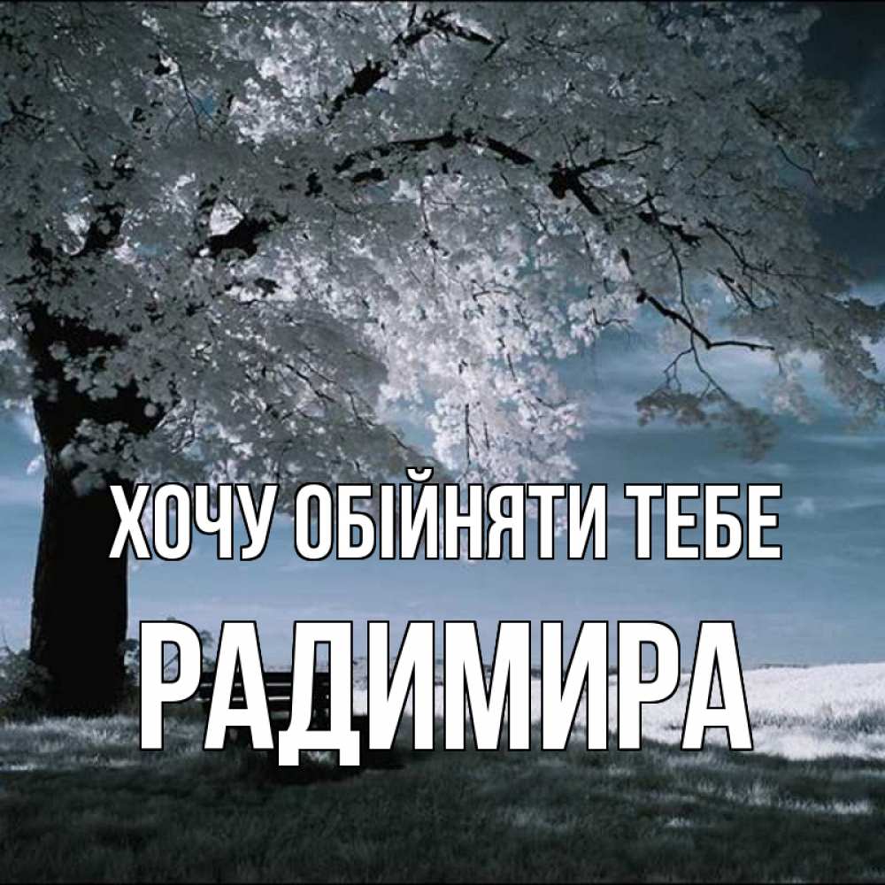 Открытка на каждый день з підписом, Радимира Хочу обійняти тебе дерево Прикольна листівка з побажанням онлайн скачати безкоштовно 