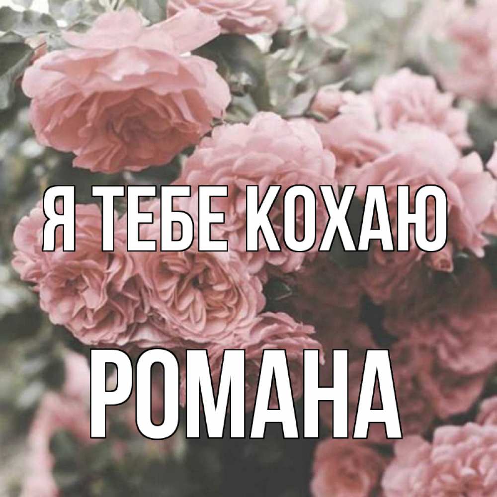 Открытка на каждый день з підписом, Романа Я тебе кохаю розы 3 Прикольна листівка з побажанням онлайн скачати безкоштовно 