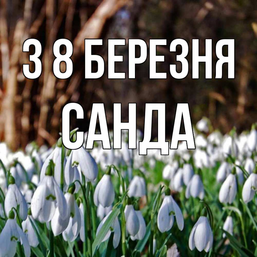 Открытка на каждый день з підписом, Санда З 8 БЕРЕЗНЯ с подснежниками 1 Прикольна листівка з побажанням онлайн скачати безкоштовно 