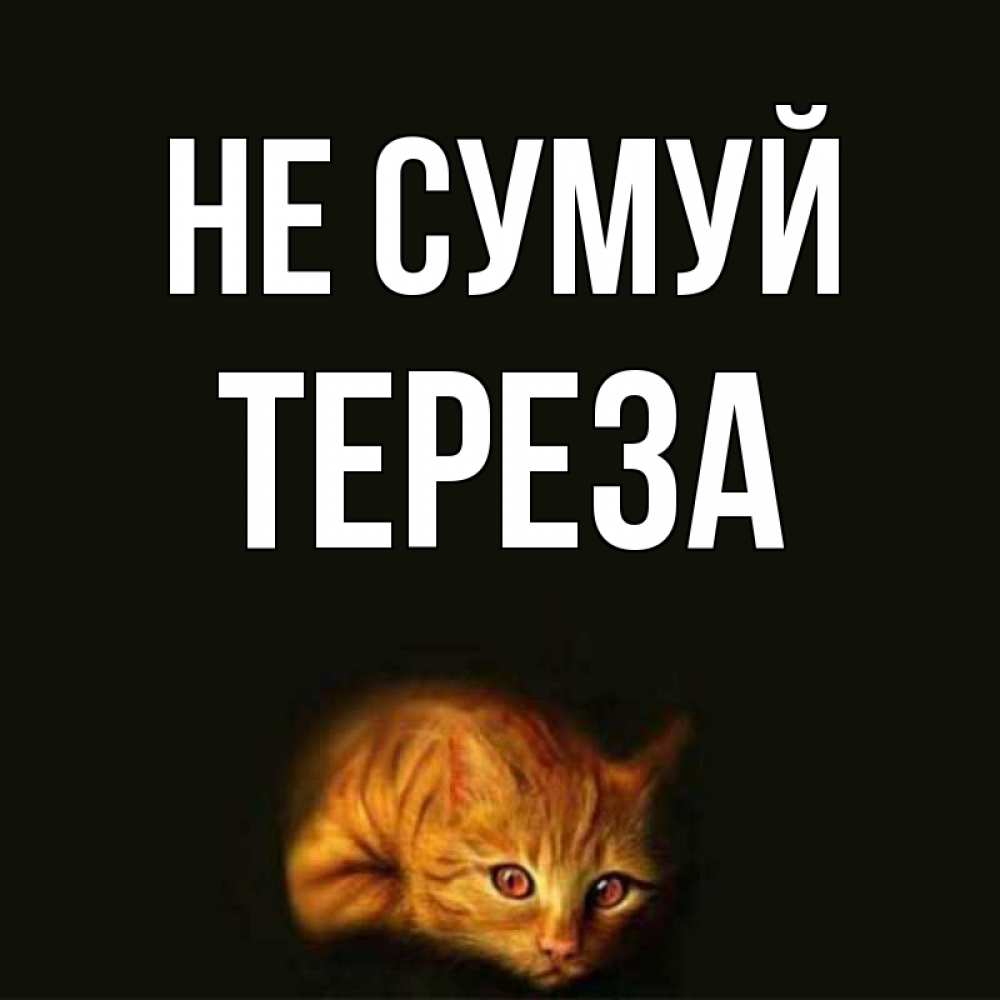 Открытка на каждый день з підписом, Тереза Не сумуй лежащий кот в темноте Прикольна листівка з побажанням онлайн скачати безкоштовно 