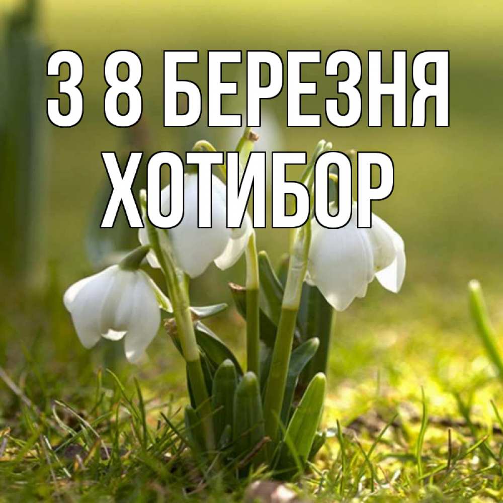 Открытка на каждый день з підписом, Хотибор З 8 БЕРЕЗНЯ ранние цветы 2 Прикольна листівка з побажанням онлайн скачати безкоштовно 