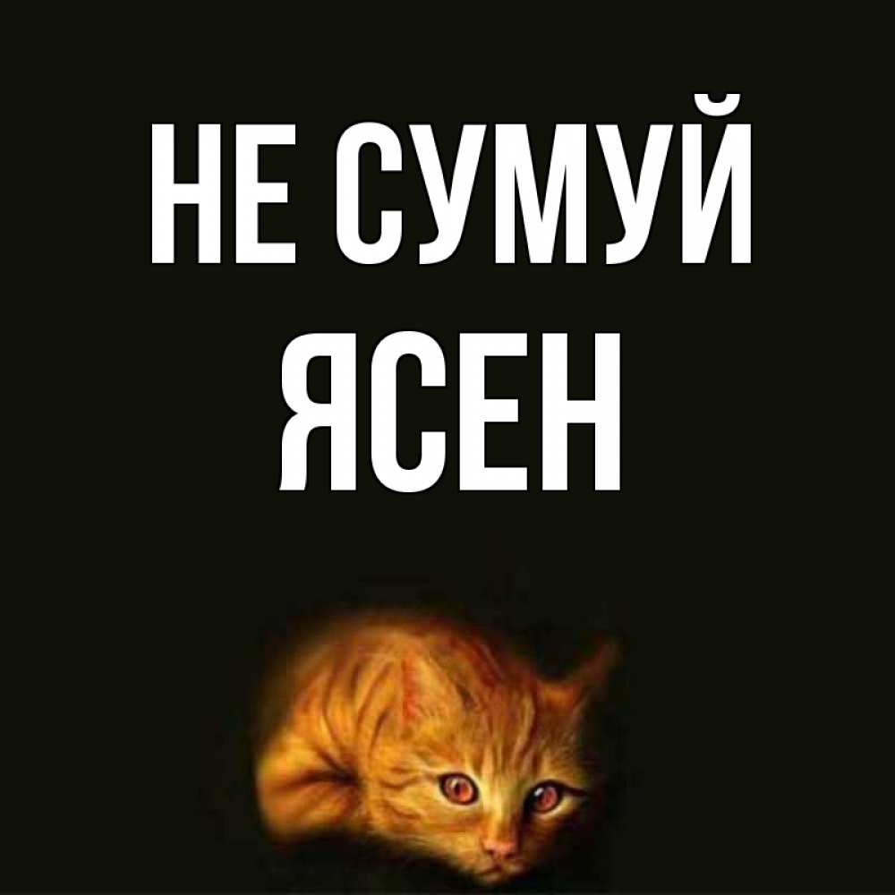 Открытка на каждый день з підписом, Ясен Не сумуй лежащий кот в темноте Прикольна листівка з побажанням онлайн скачати безкоштовно 