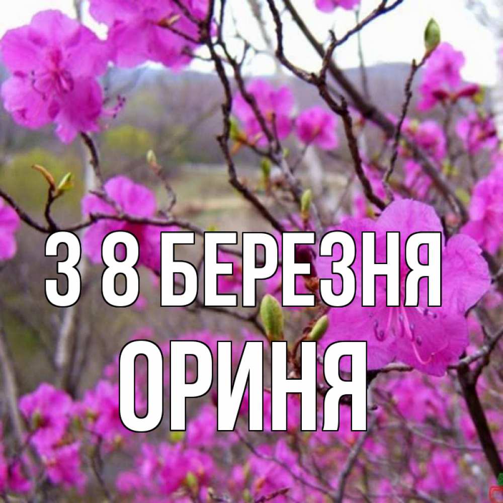 Открытка на каждый день з підписом, Ориня З 8 БЕРЕЗНЯ международный женский день Прикольна листівка з побажанням онлайн скачати безкоштовно 